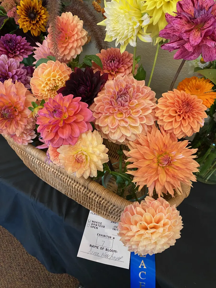 Dahlia flower bouquet
